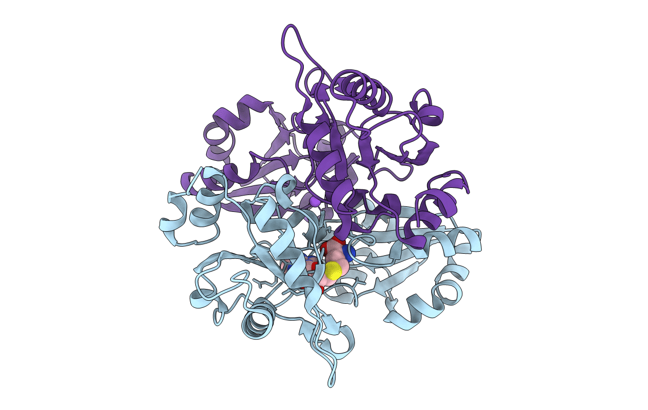 2E8R image