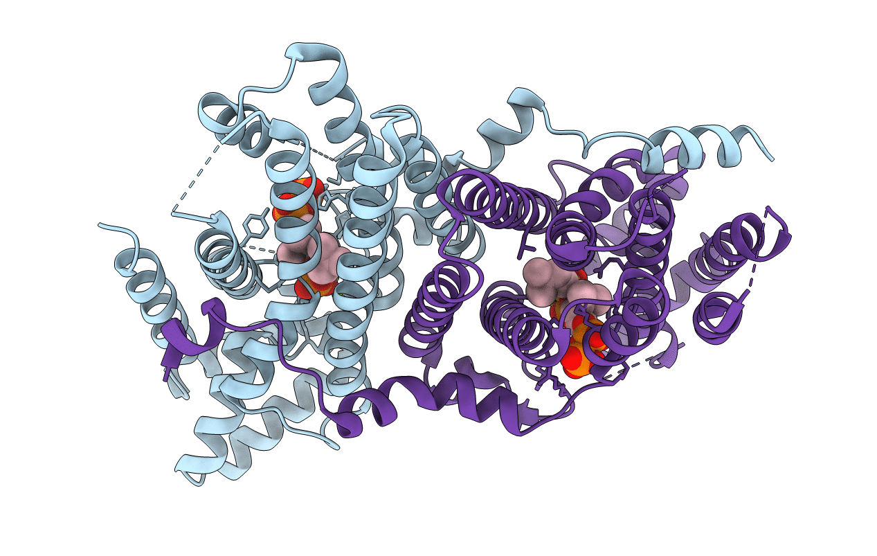 2E8U image