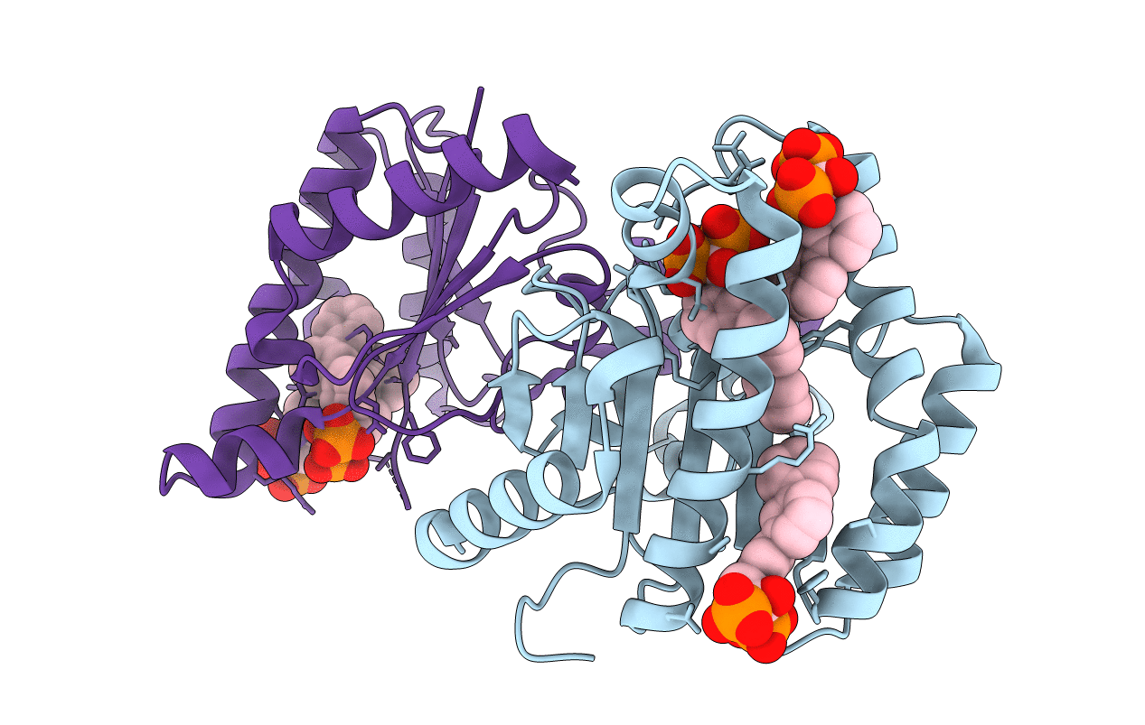 2E99 image
