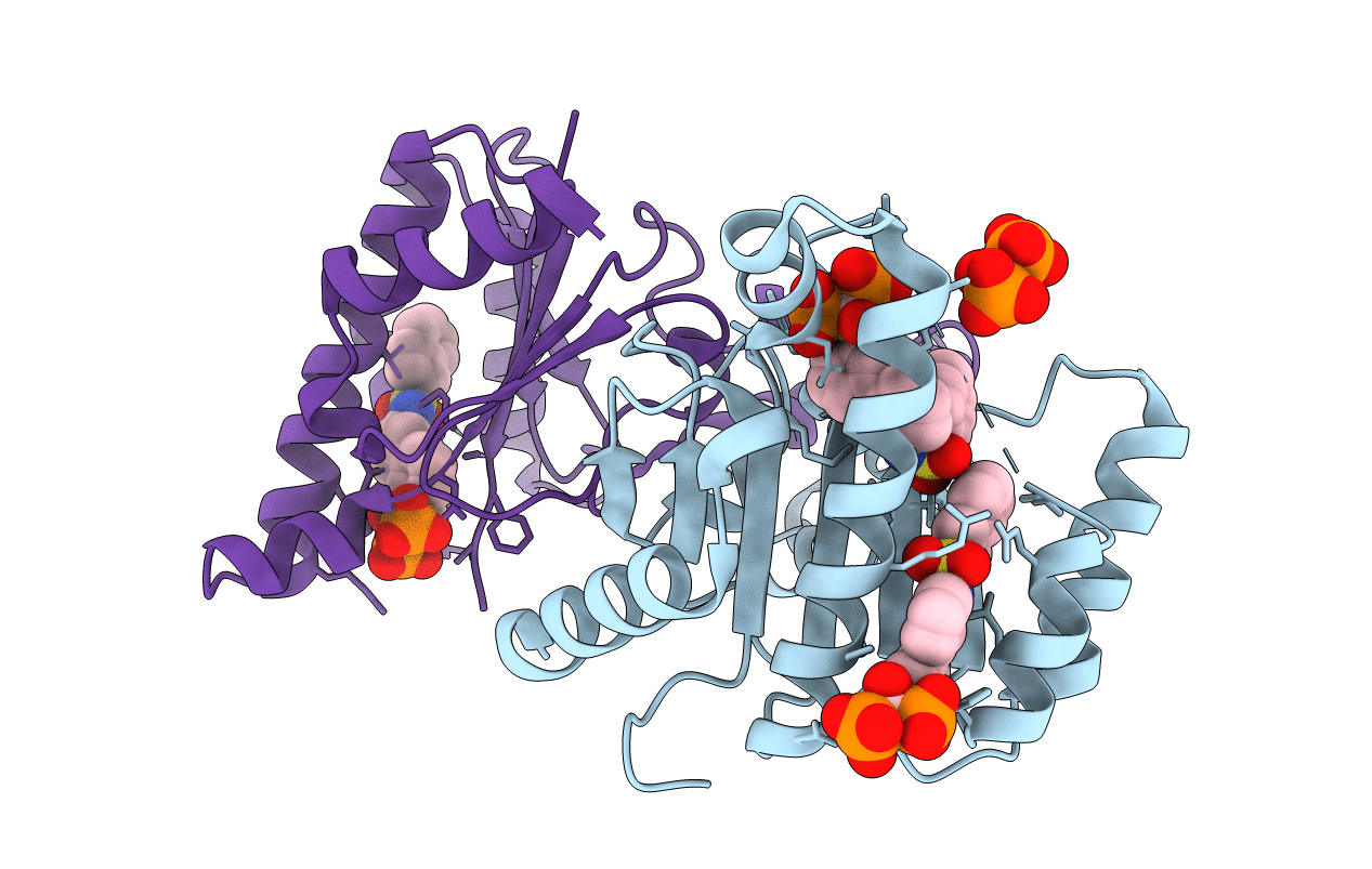 2E9C image