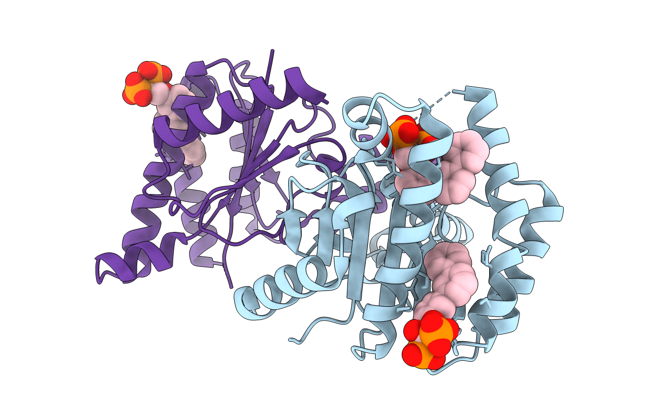 2E9D image
