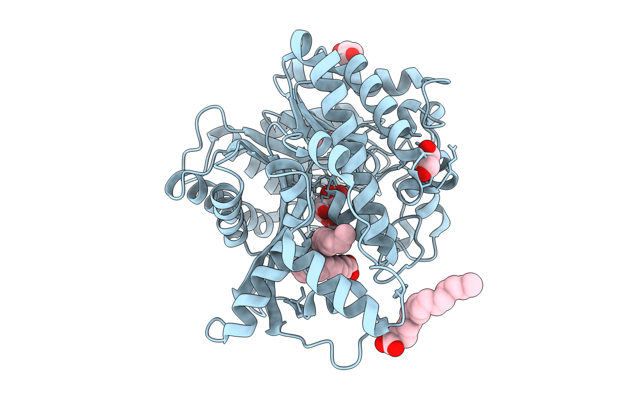 2E9L image