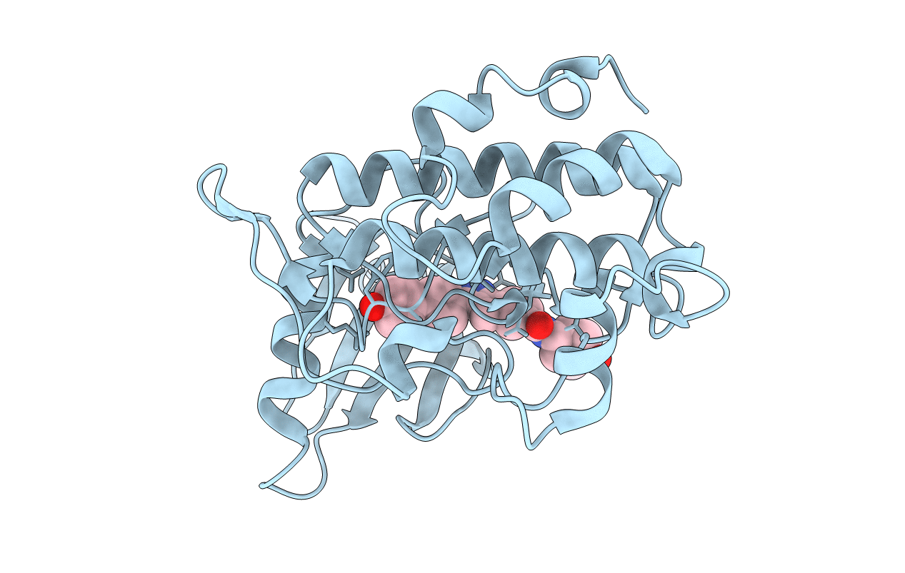 2E9N image