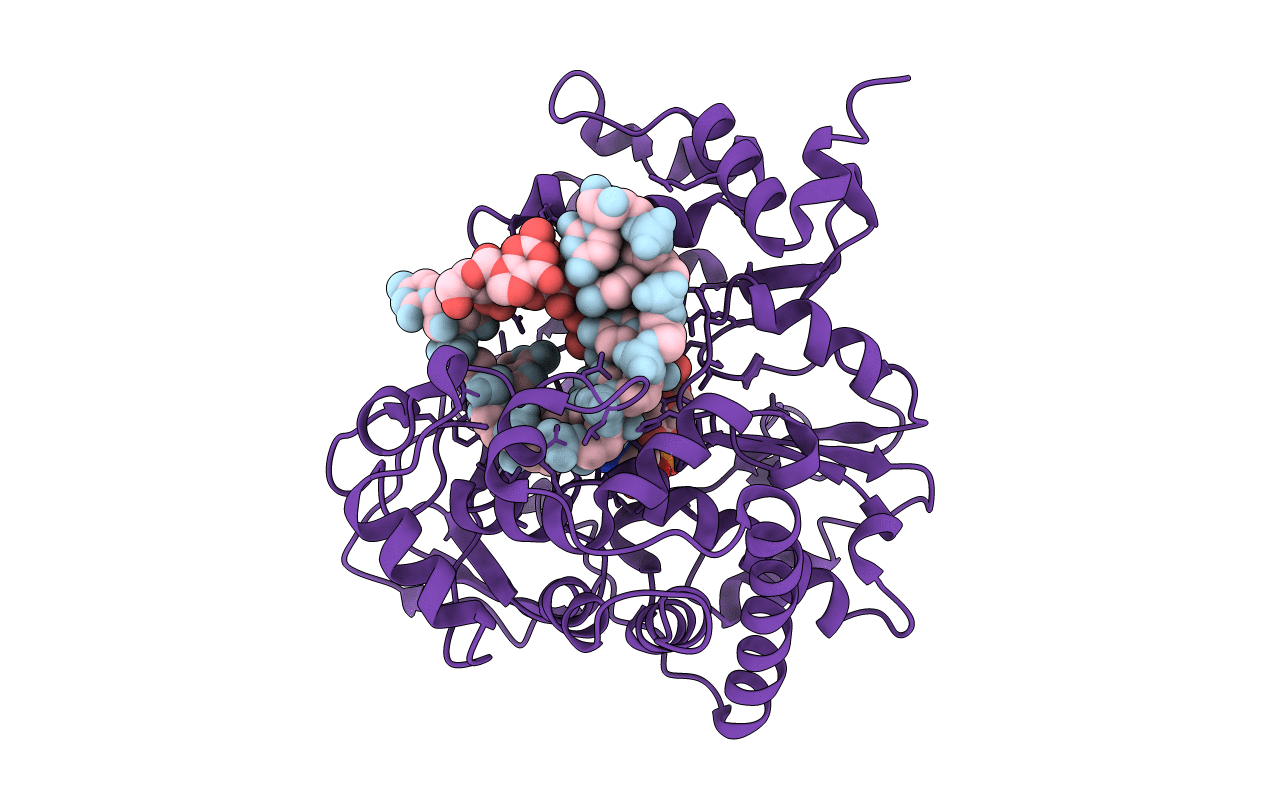 2E9R image