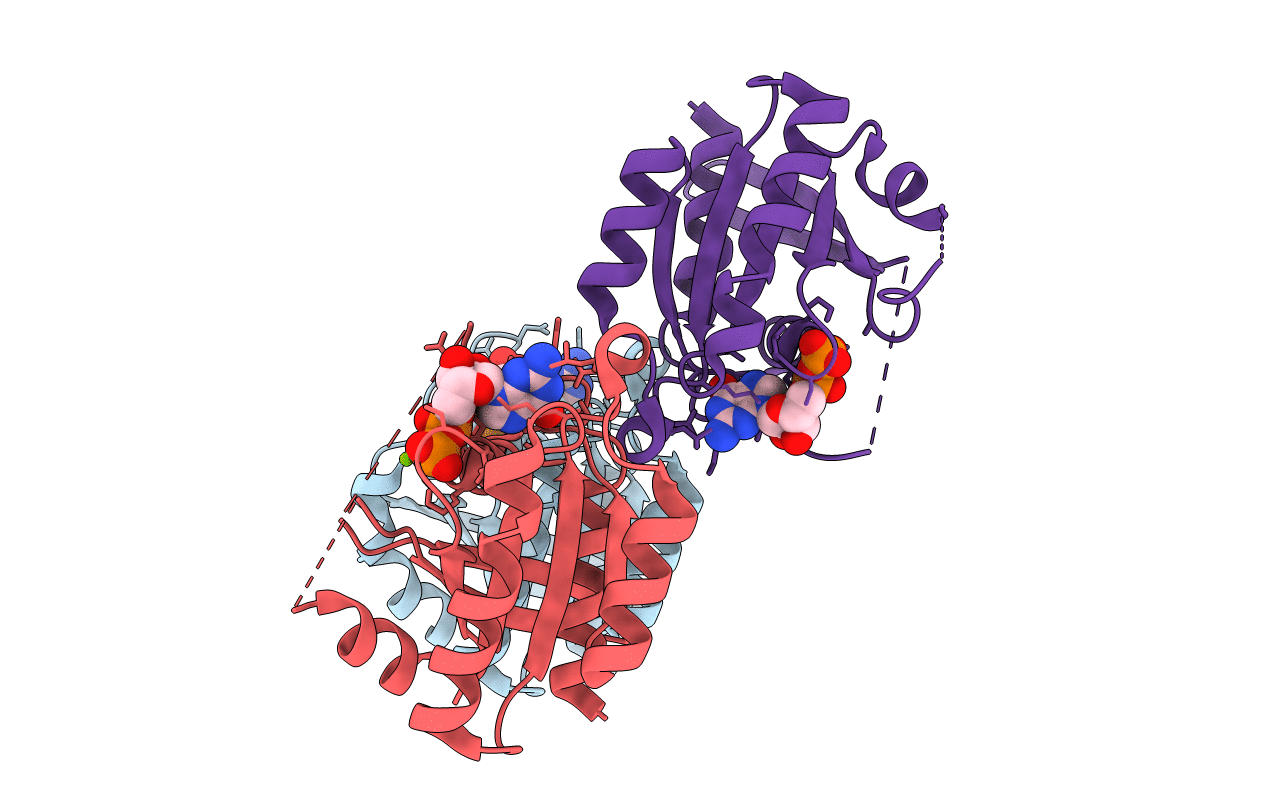 2E9S image