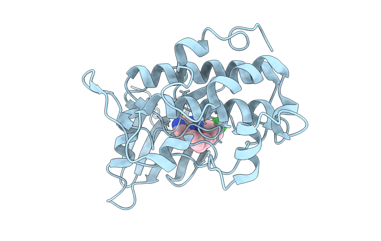 2E9U image
