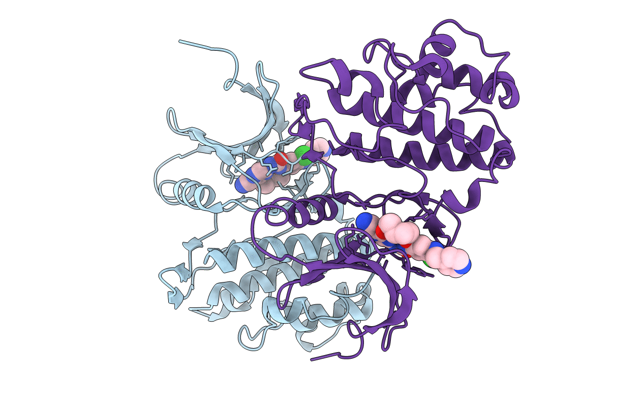 2E9V image