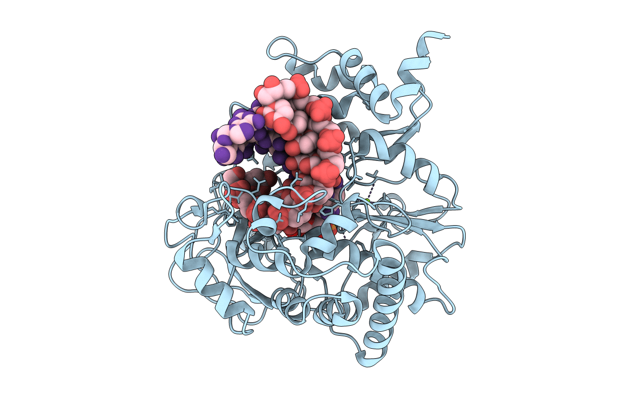 2E9Z image