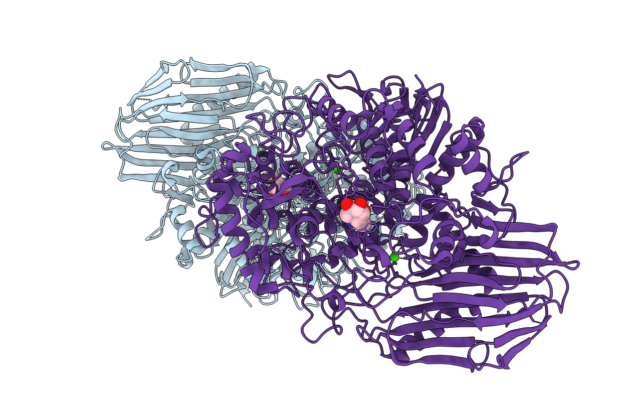 2EAC image