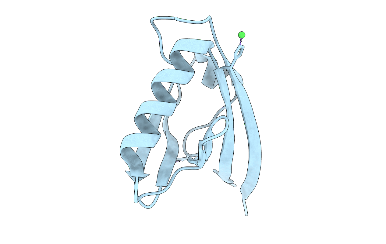 2EAQ image