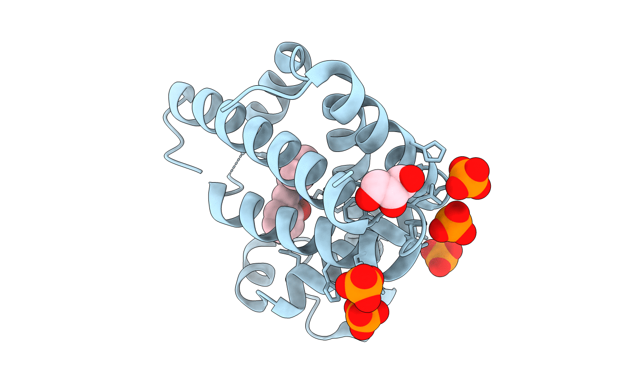 2EB9 image
