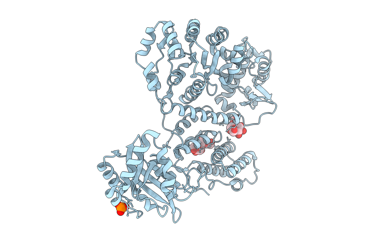 2EBF image