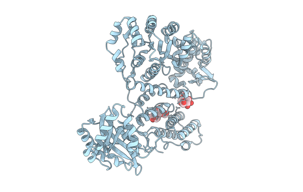 2EBH image