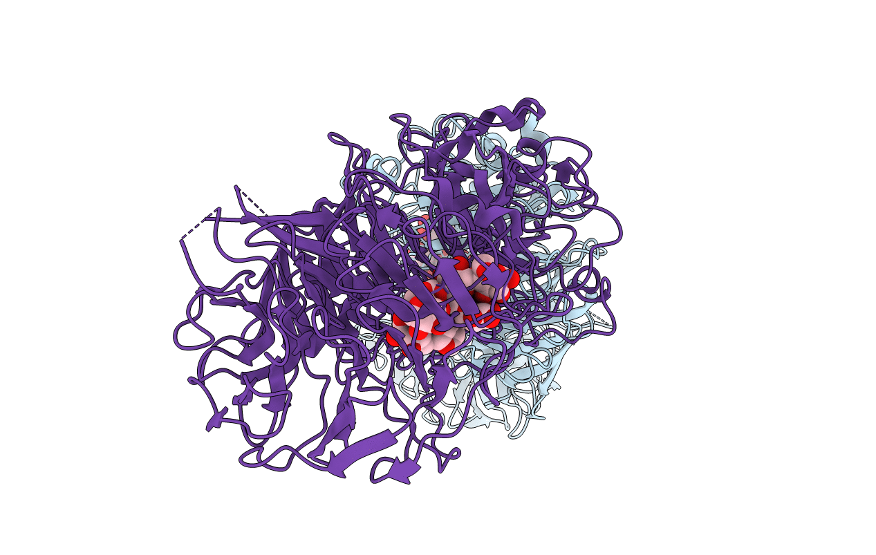 2EBS image