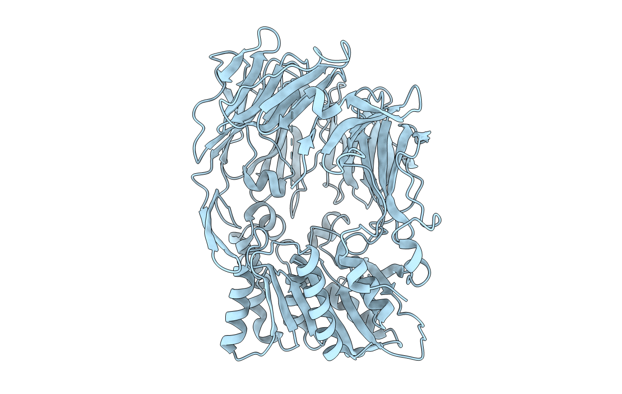 2ECF image