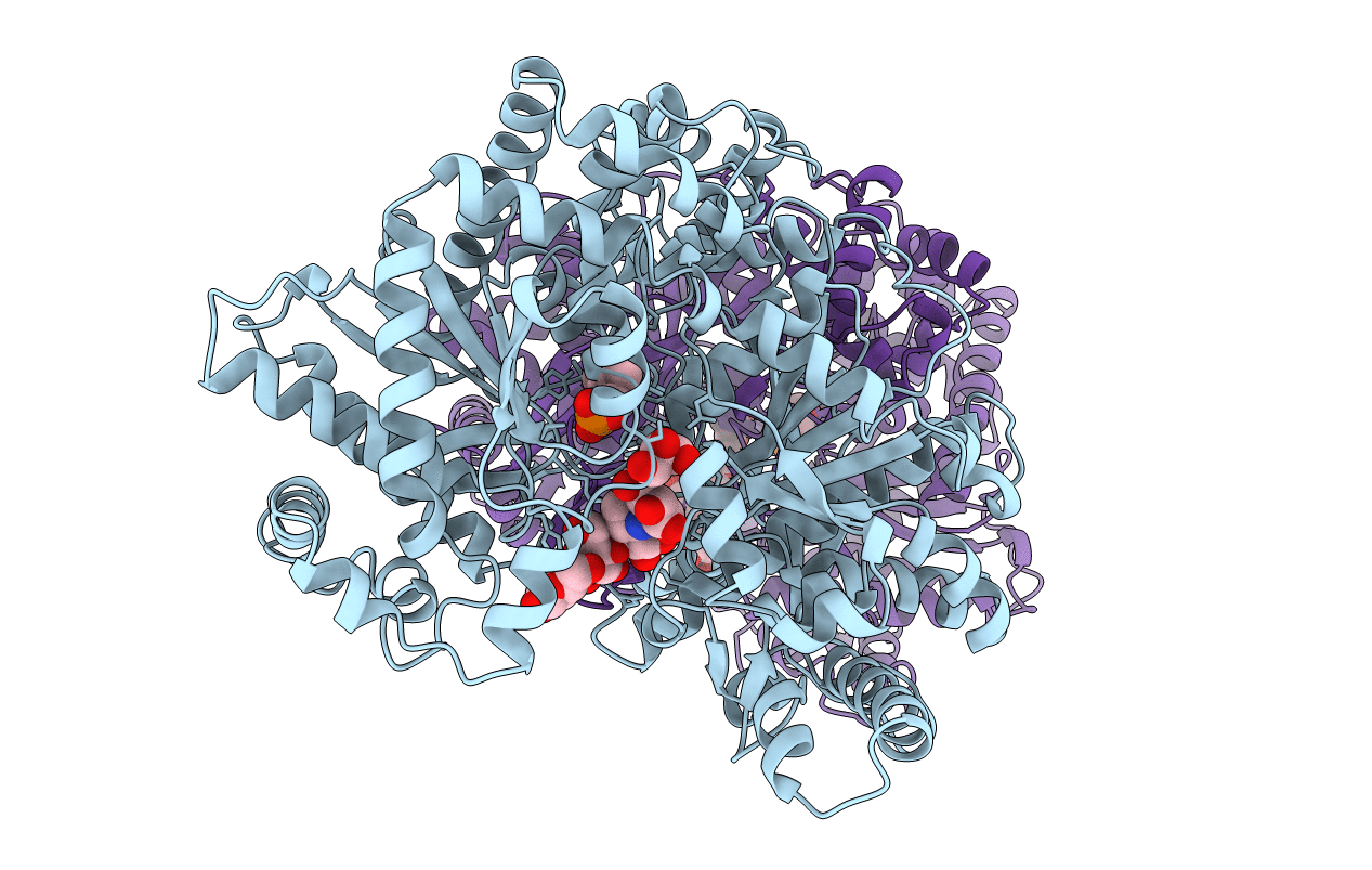 2ECP image