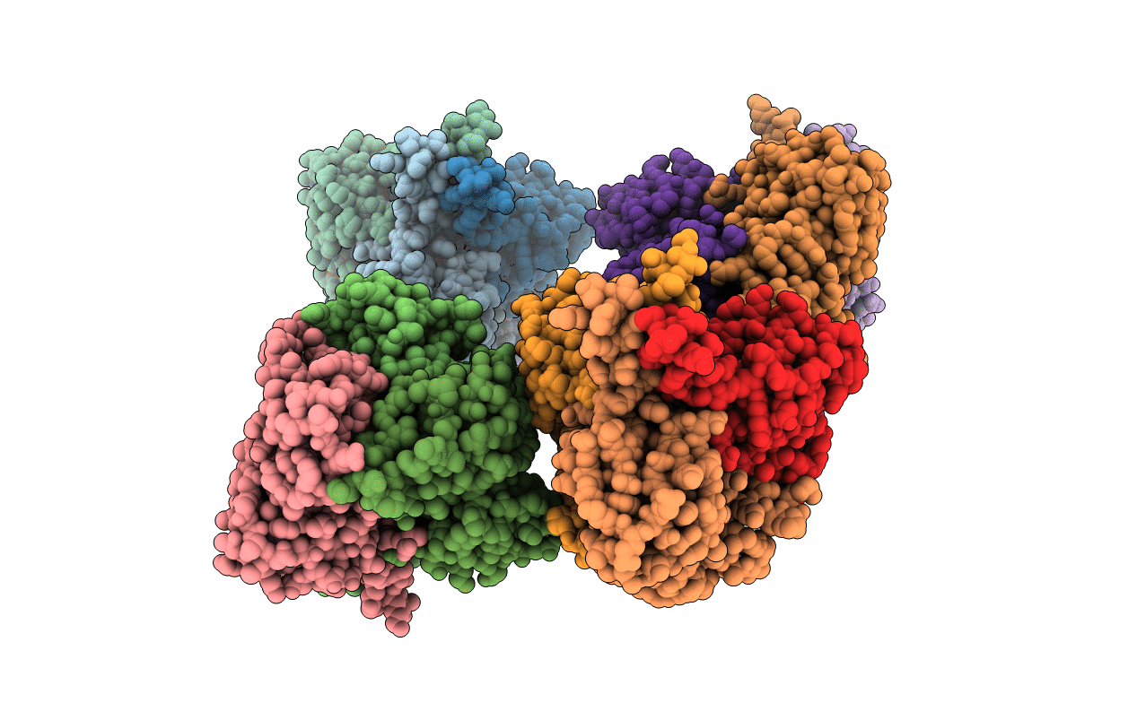 2ED6 image