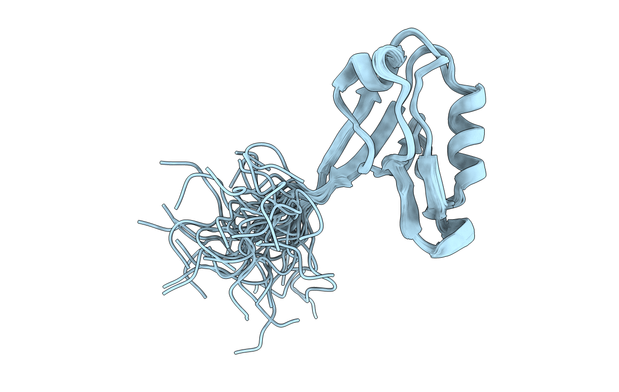 2EDP image