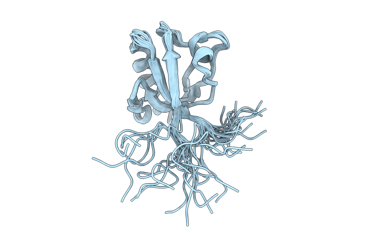 2EEG image