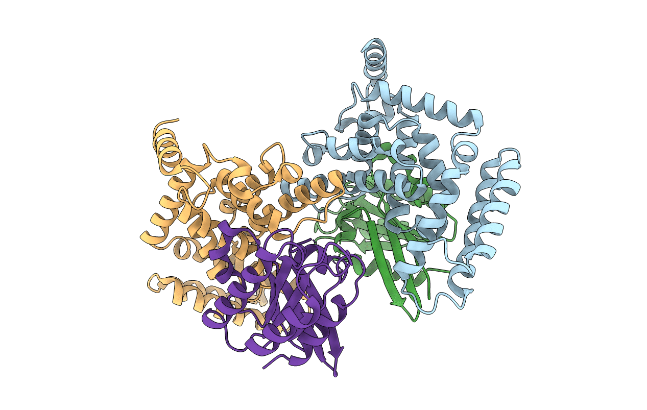 2EFD image