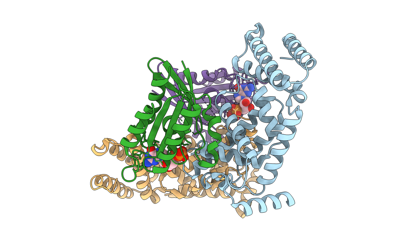 2EFH image