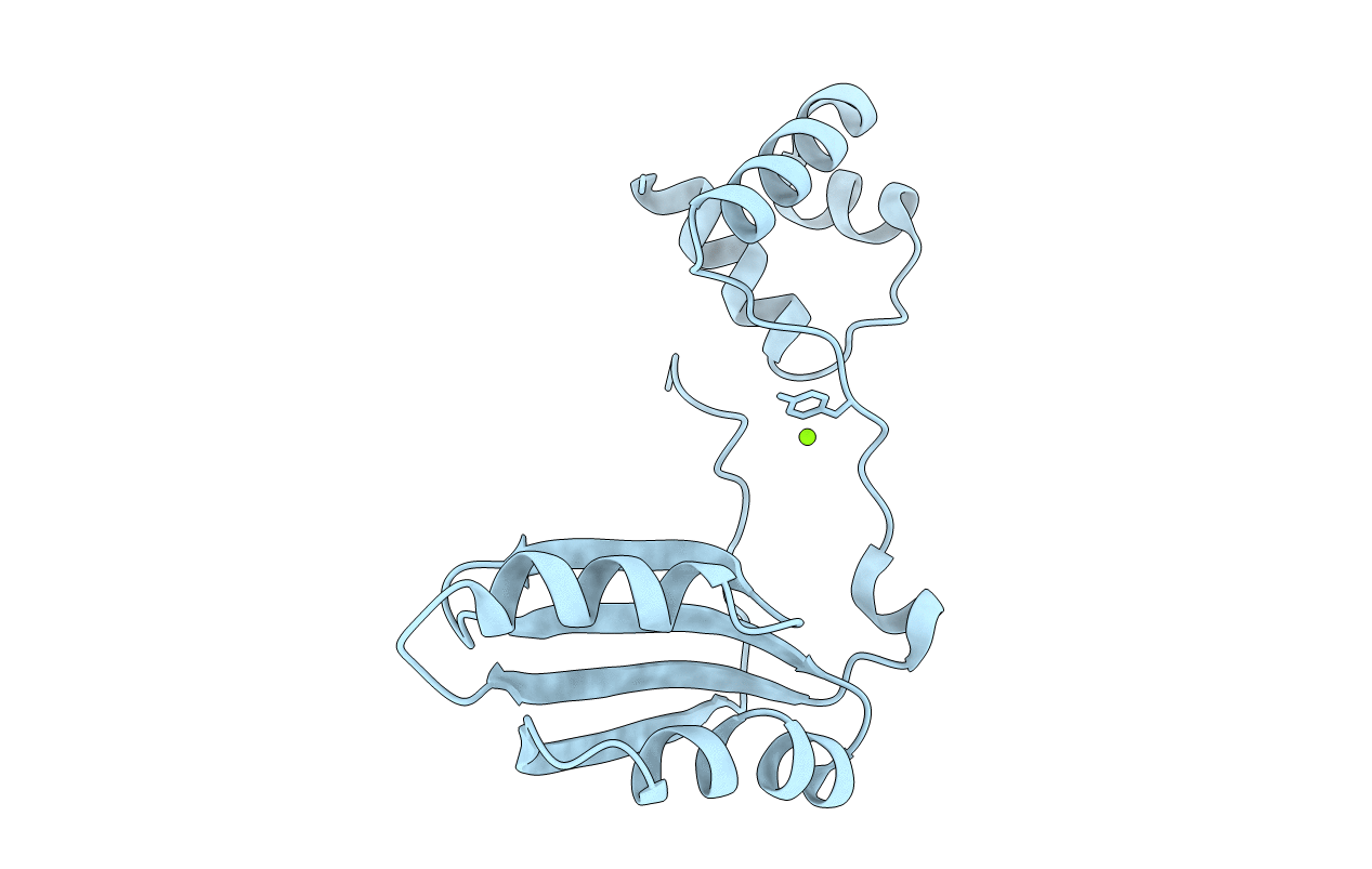 2EFN image
