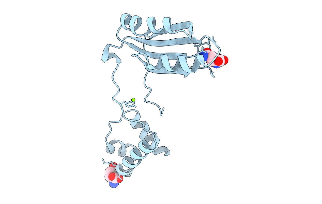 2EFP image