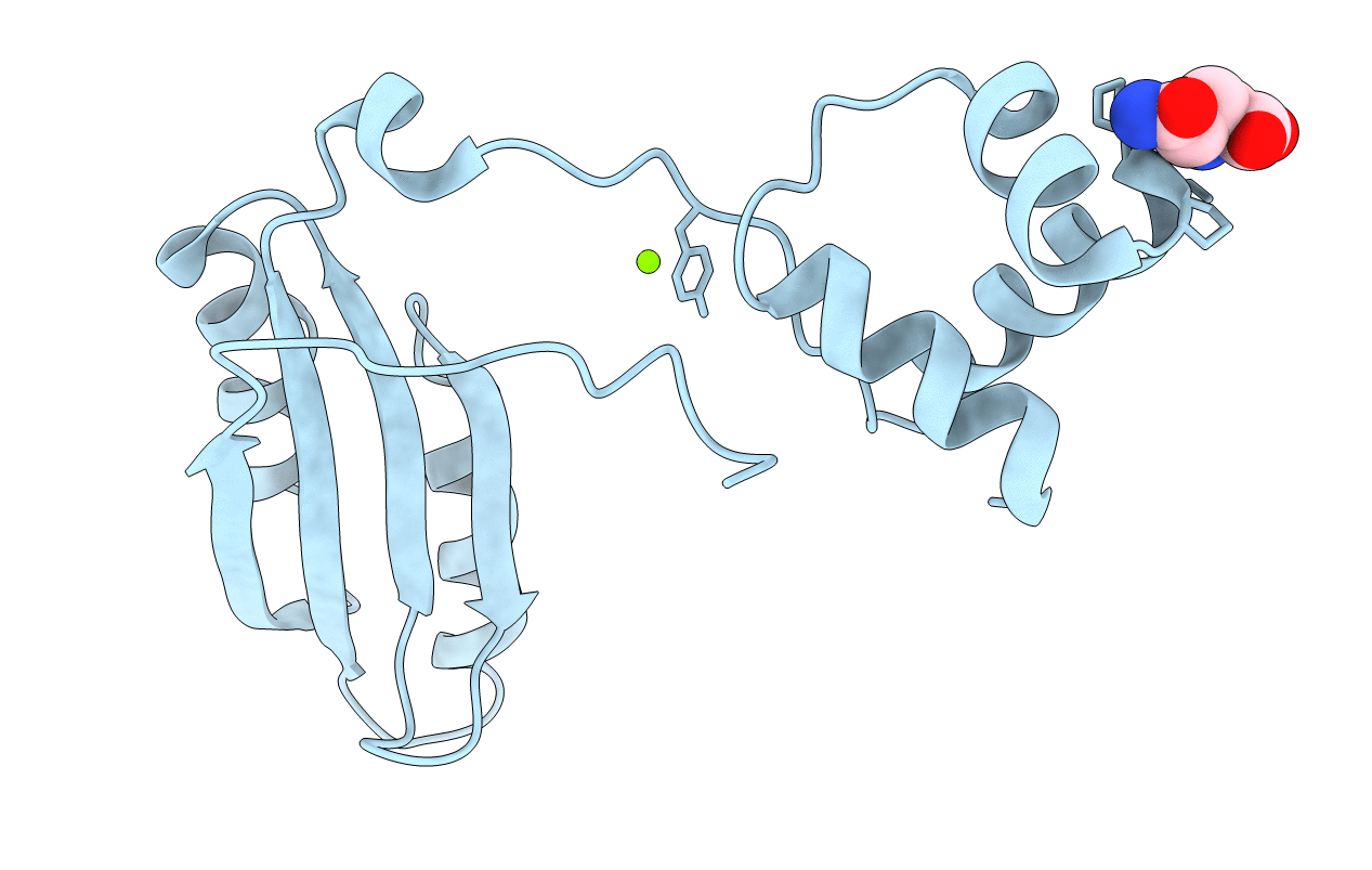 2EFQ image