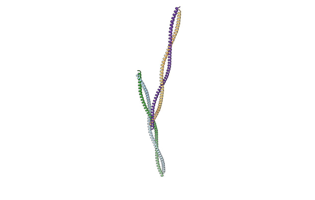2EFR image