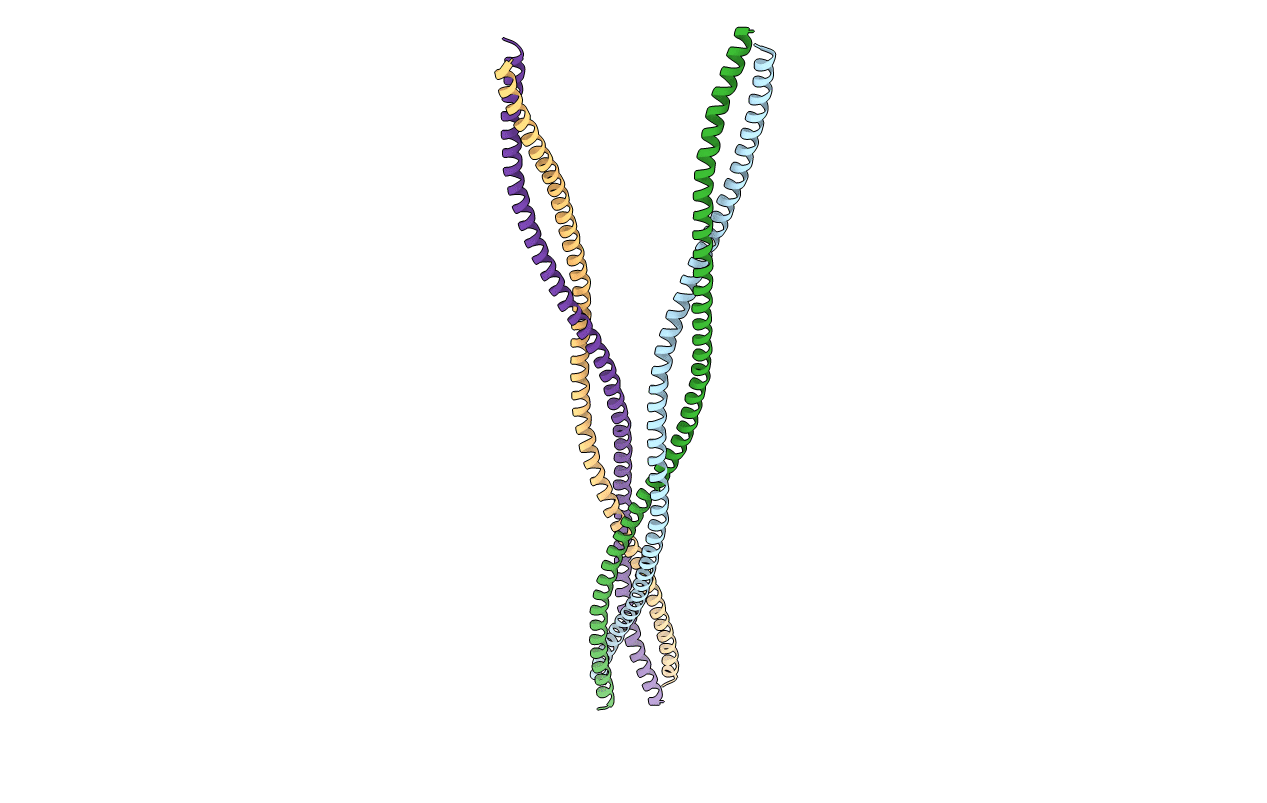 2EFS image