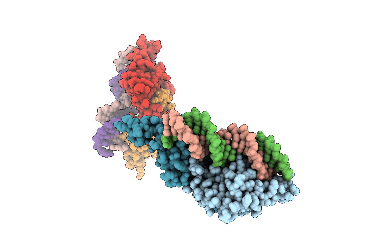 2EFW image