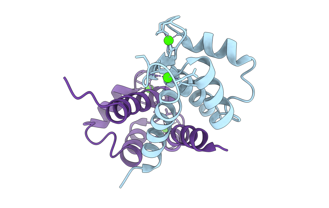 2EGD image