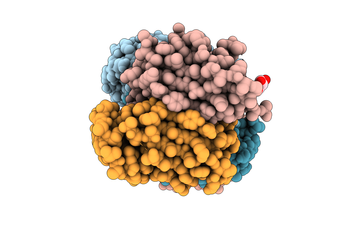 2EGI image