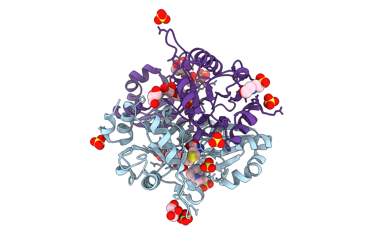 2EHL image
