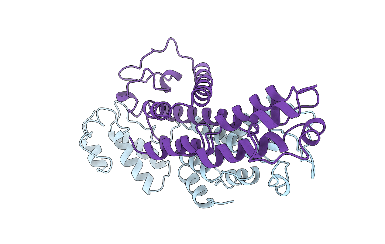 2EIA image