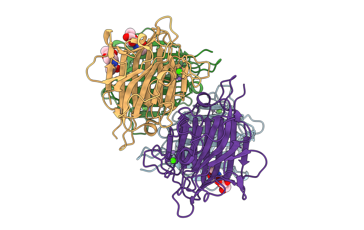 2EIG image