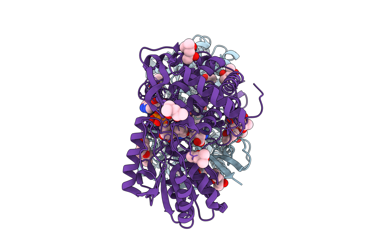 2EII image