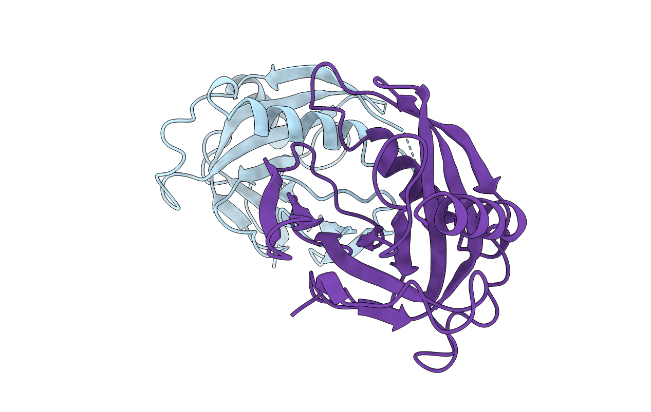 2EIP image