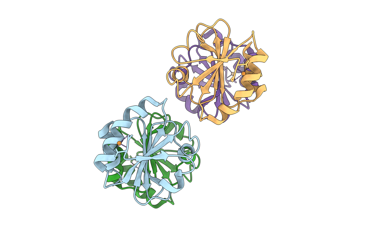 2EIR image