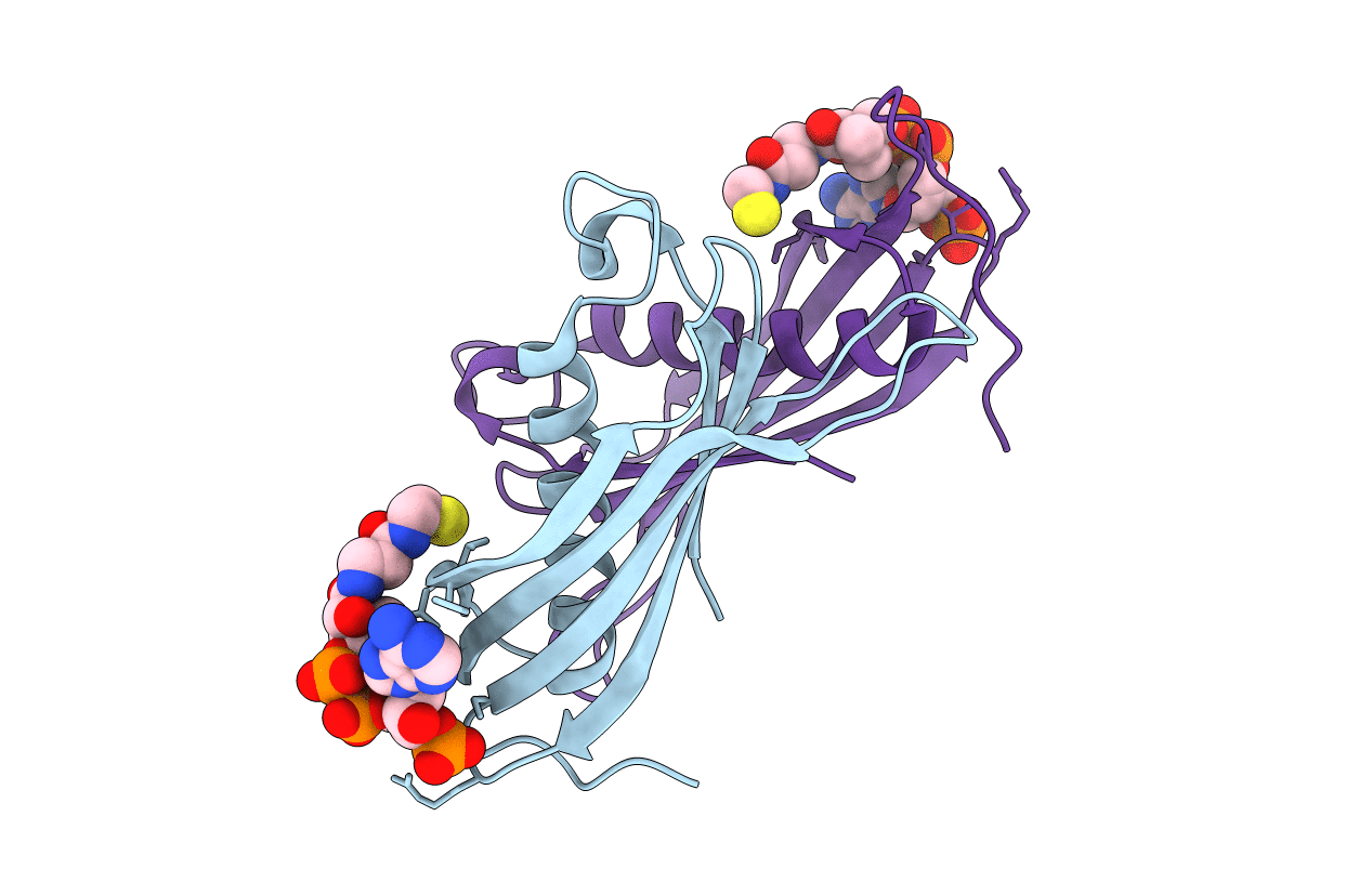 2EIS image