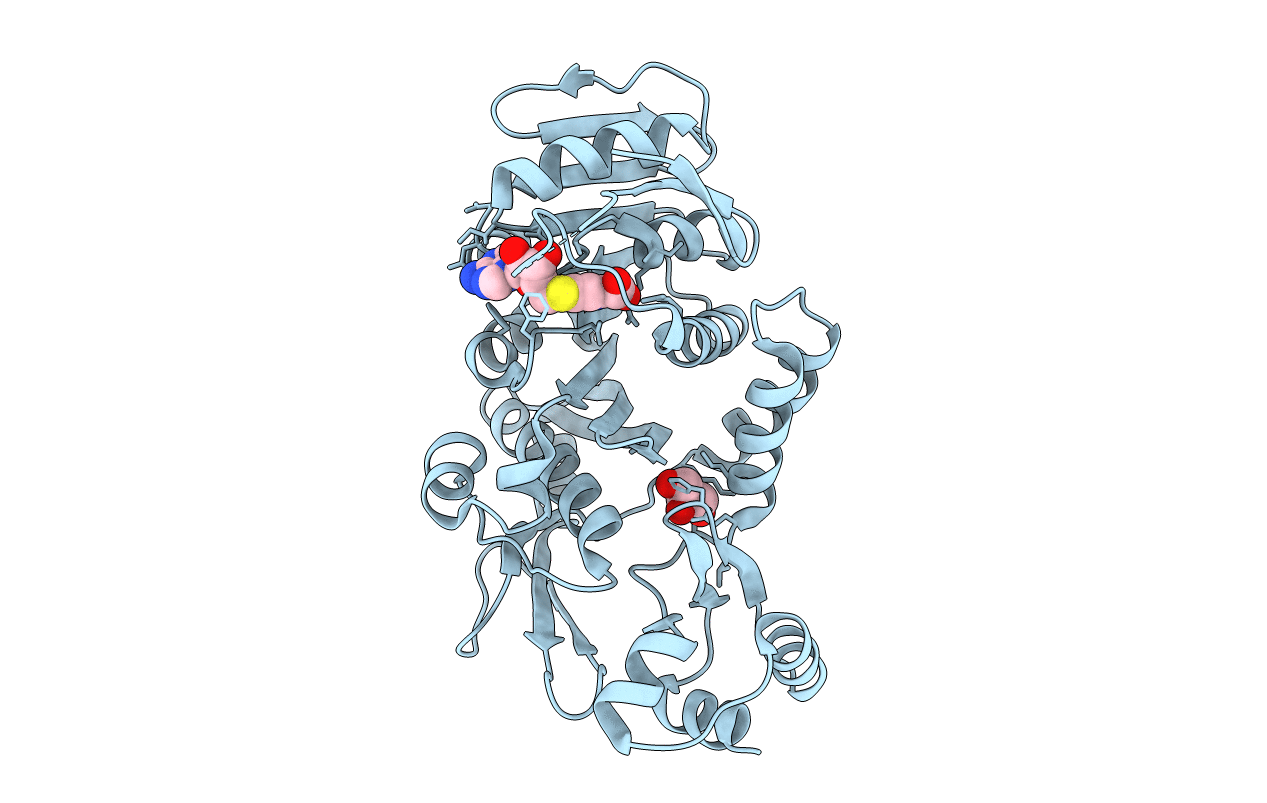2EJU image