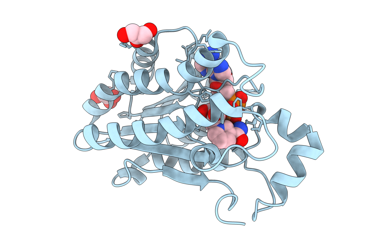 2EKP image