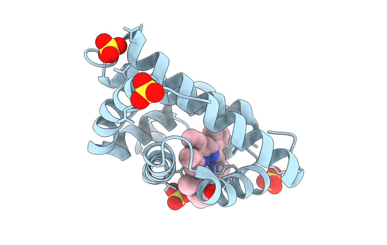 2EKT image