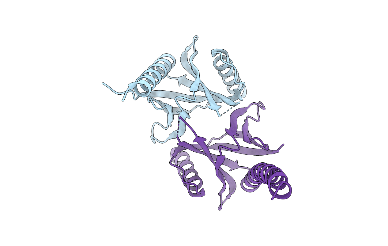 2ELA image