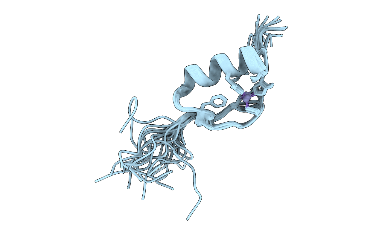 2elx image
