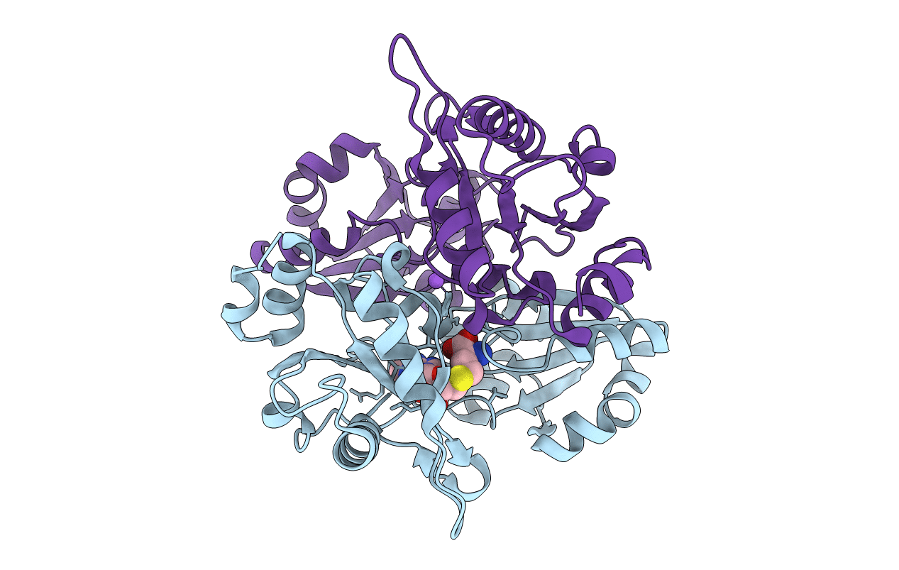 2EMR image
