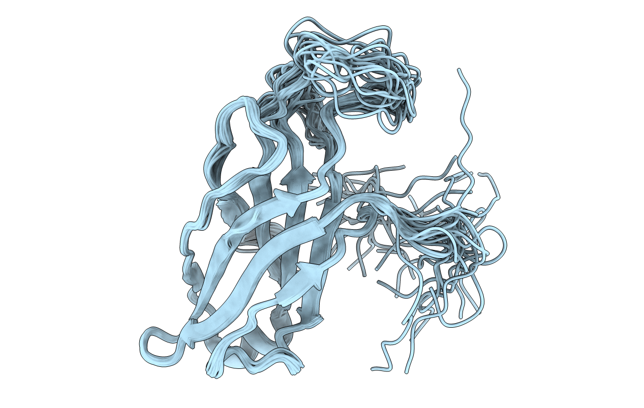 2ENP image