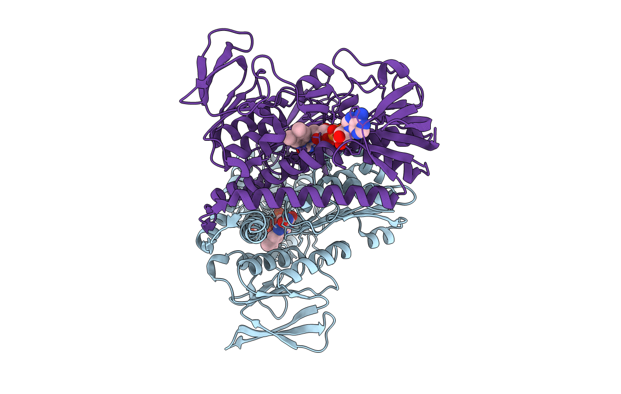 2EQ6 image