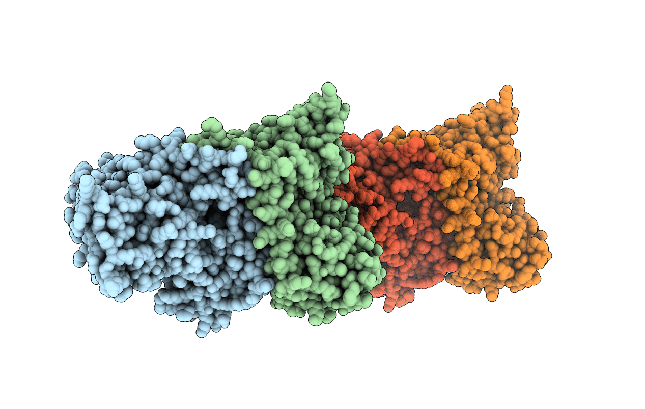2EQ8 image