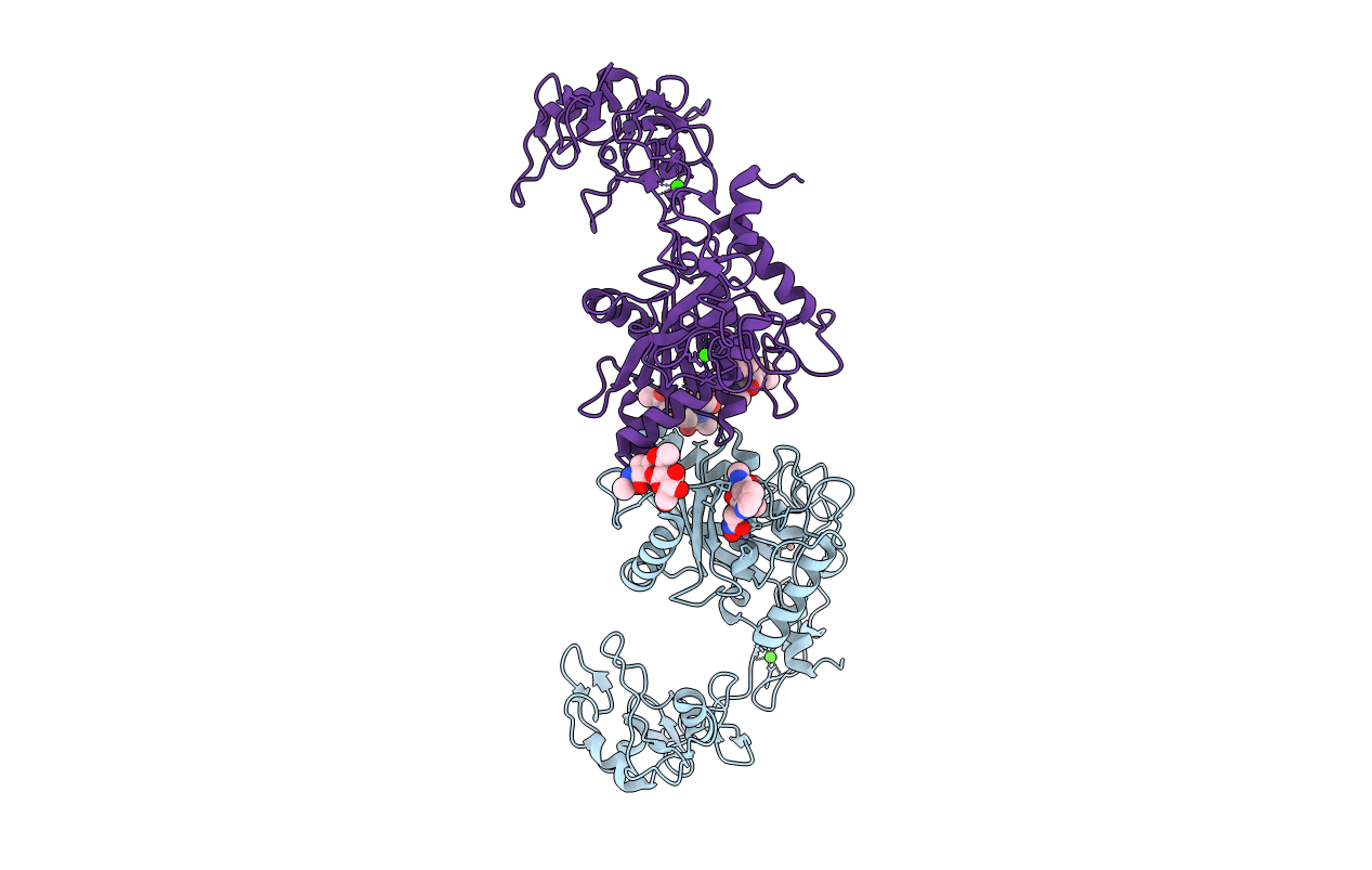 2ERP image